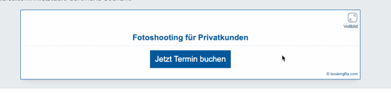 Terminflix Kalender auf der Webseite