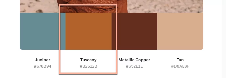Wie du die Farbpalette für deine Marke erstellst Image 20
