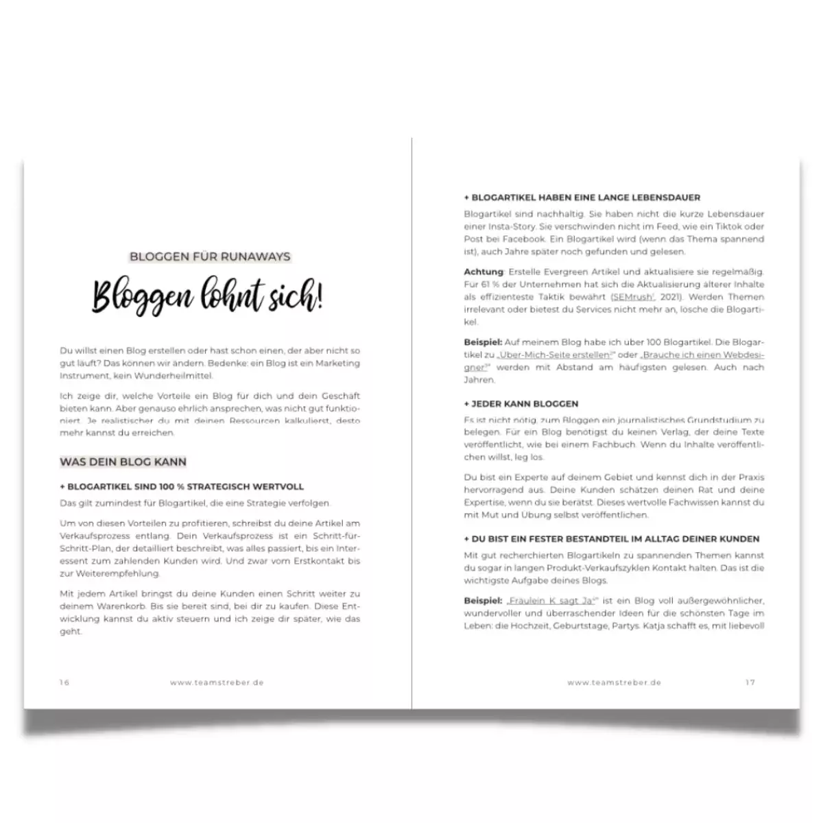 Produktbilder Blogartikel Die Verkaufen13